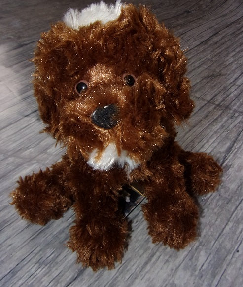 Labradoodle - Jefferson