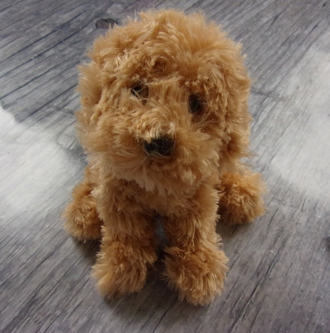 Labradoodle - Shenanigan