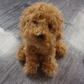Labradoodle - Shenanigan