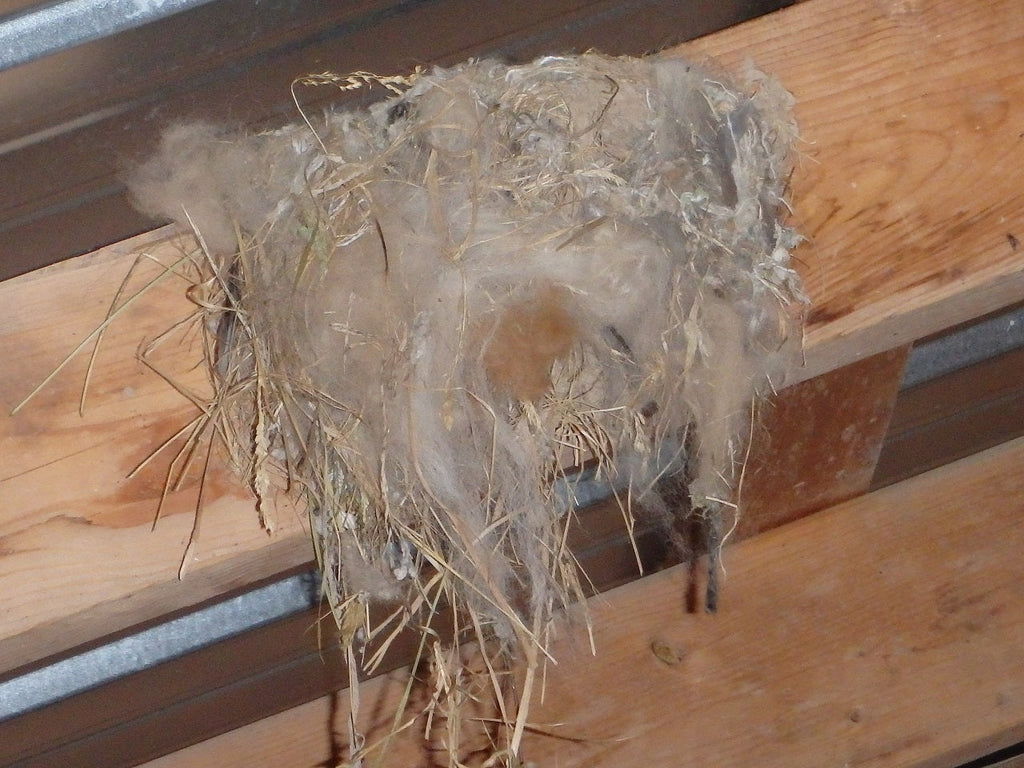 Beneficial Bug Abodes