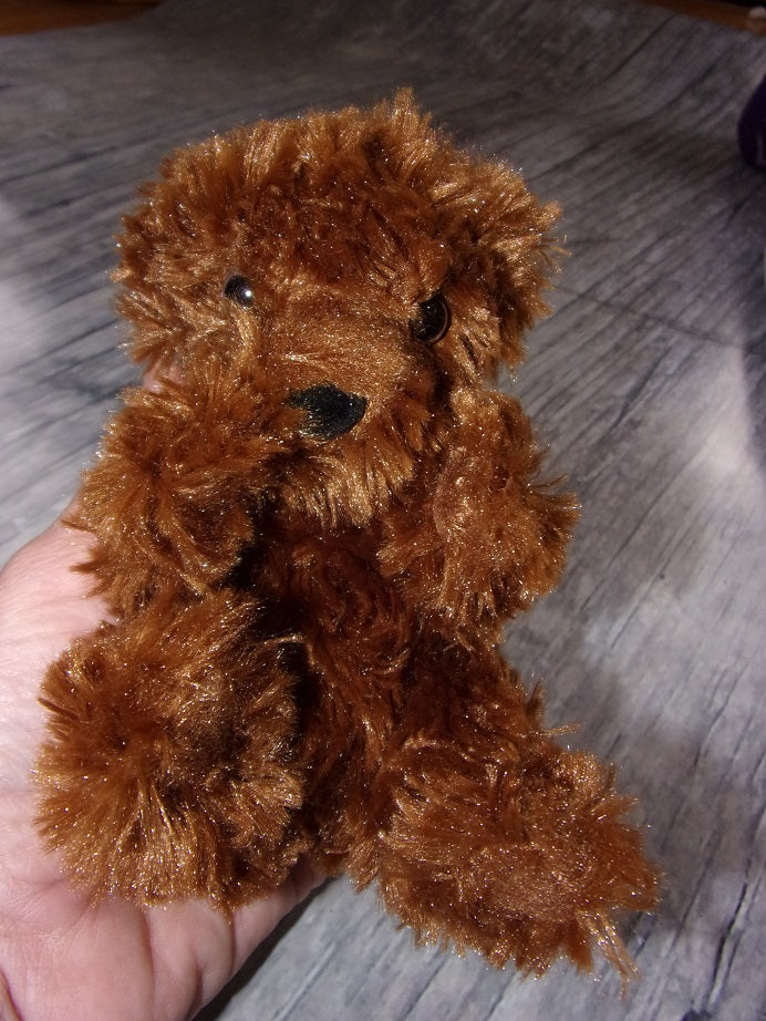 Labradoodle Puppy